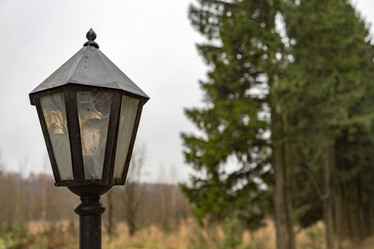 Similar image 16925258