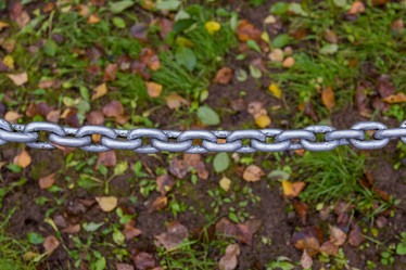 Similar image 16925365