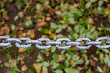 Similar image 16925367