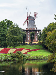 Similar image 17242982