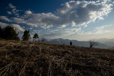 Similar image 16923181