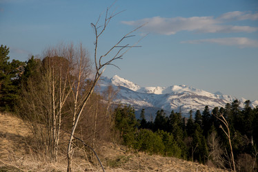 Similar image 16923193