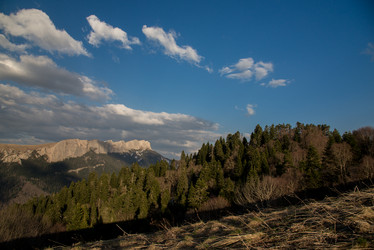 Similar image 16923195