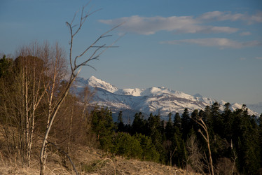 Similar image 16923196