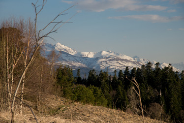 Similar image 16923210