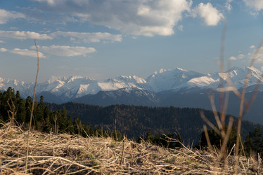 Similar image 16923215