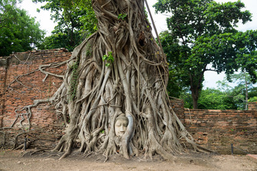 Similar image 16924996