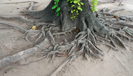 Similar image 16925488