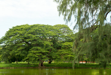 Similar image 16924974