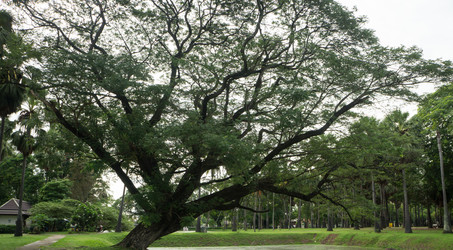 Similar image 16924975