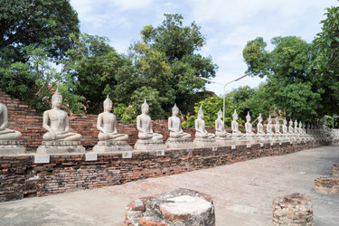 Similar image 17239519