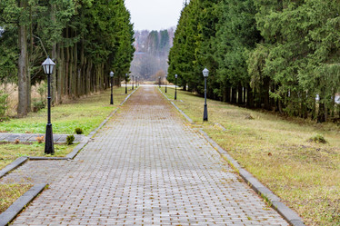 Similar image 16925394