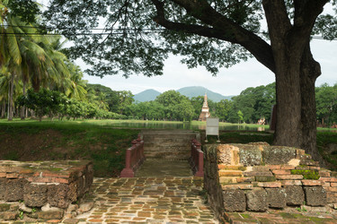 Similar image 16924958