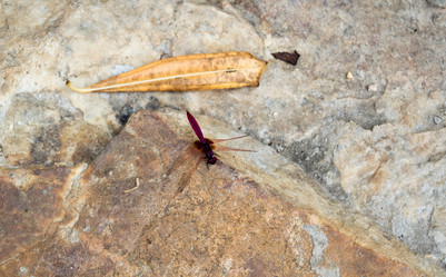 Similar image 17239544