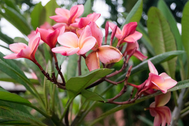 Similar image 17239545