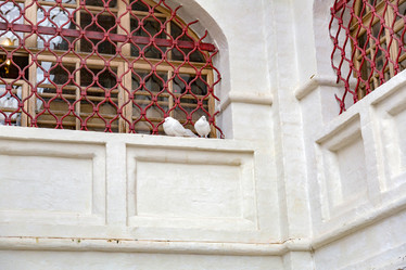 Similar image 16925435