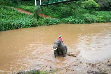 Similar image 16924960