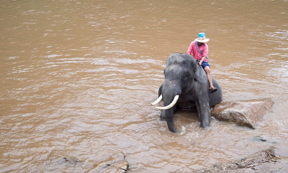 Similar image 16924961