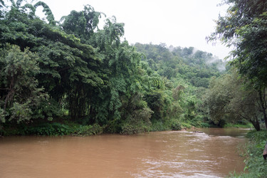 Similar image 16924982