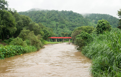 Similar image 17239547