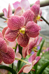 Similar image 16924938