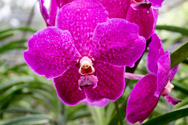 Similar image 16924962