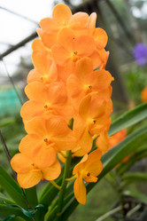 Similar image 16925507