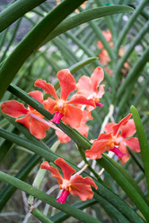 Similar image 17239549