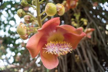 Similar image 16924944