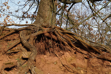 Similar image 16924986