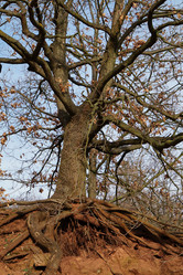 Similar image 16924987