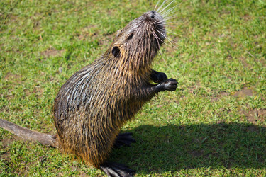 Similar image 17239576