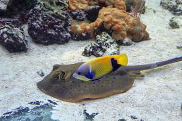 Similar image 16924990