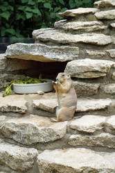 Similar image 16925008