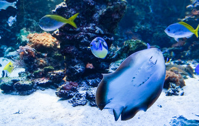 Similar image 16925009