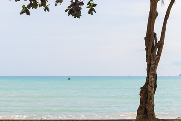 Similar image 17249198