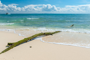 Similar image 17249216