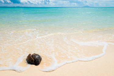 Similar image 17249222