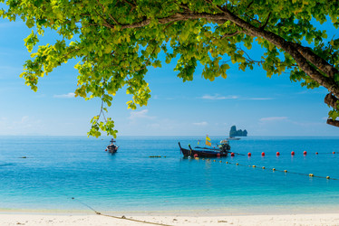 Similar image 17249244