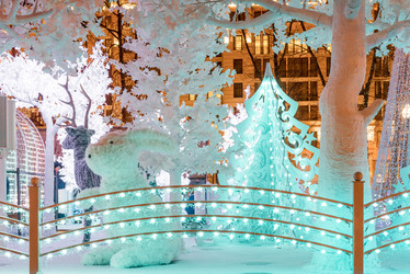 Similar image 17249255