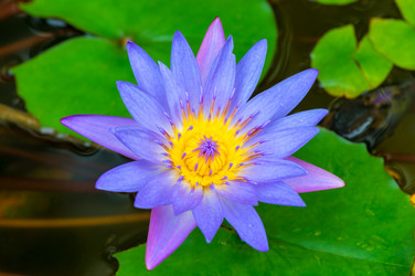 Similar image 17249264