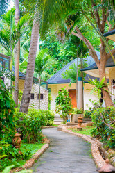 Similar image 17249282