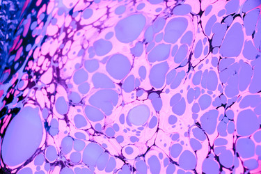 Similar image 17239740