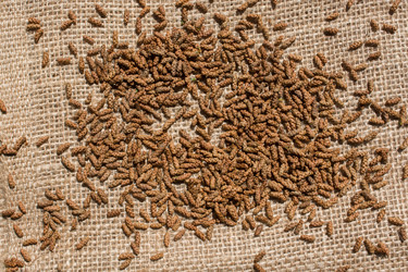 Similar image 17239743