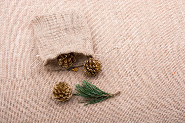 Similar image 17239728