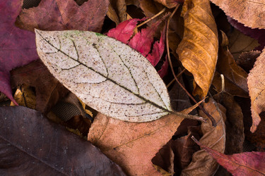 Similar image 17239721