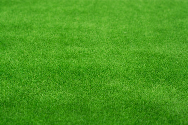 Similar image 17239737