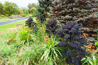 Similar image 17243026