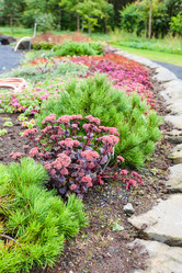 Similar image 17243045