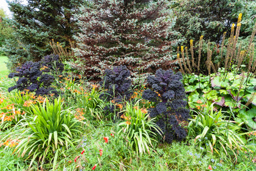 Similar image 17243046